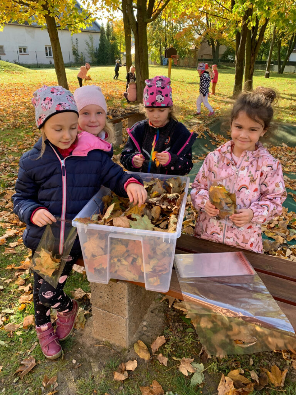 cary-mary-s-podzimem