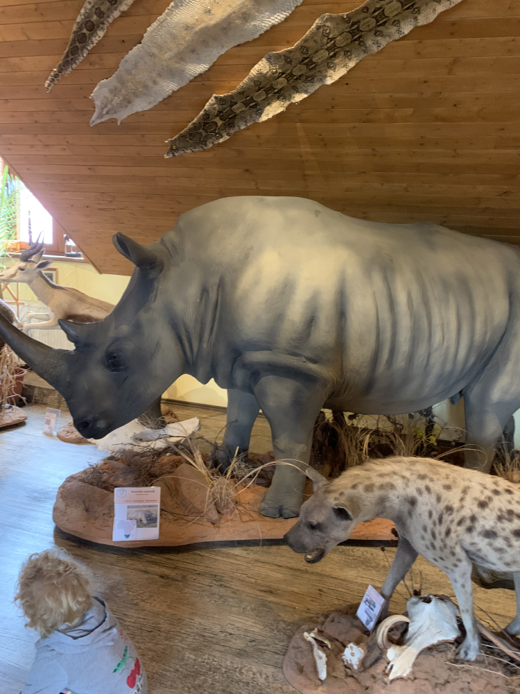safari-africke-muzeum