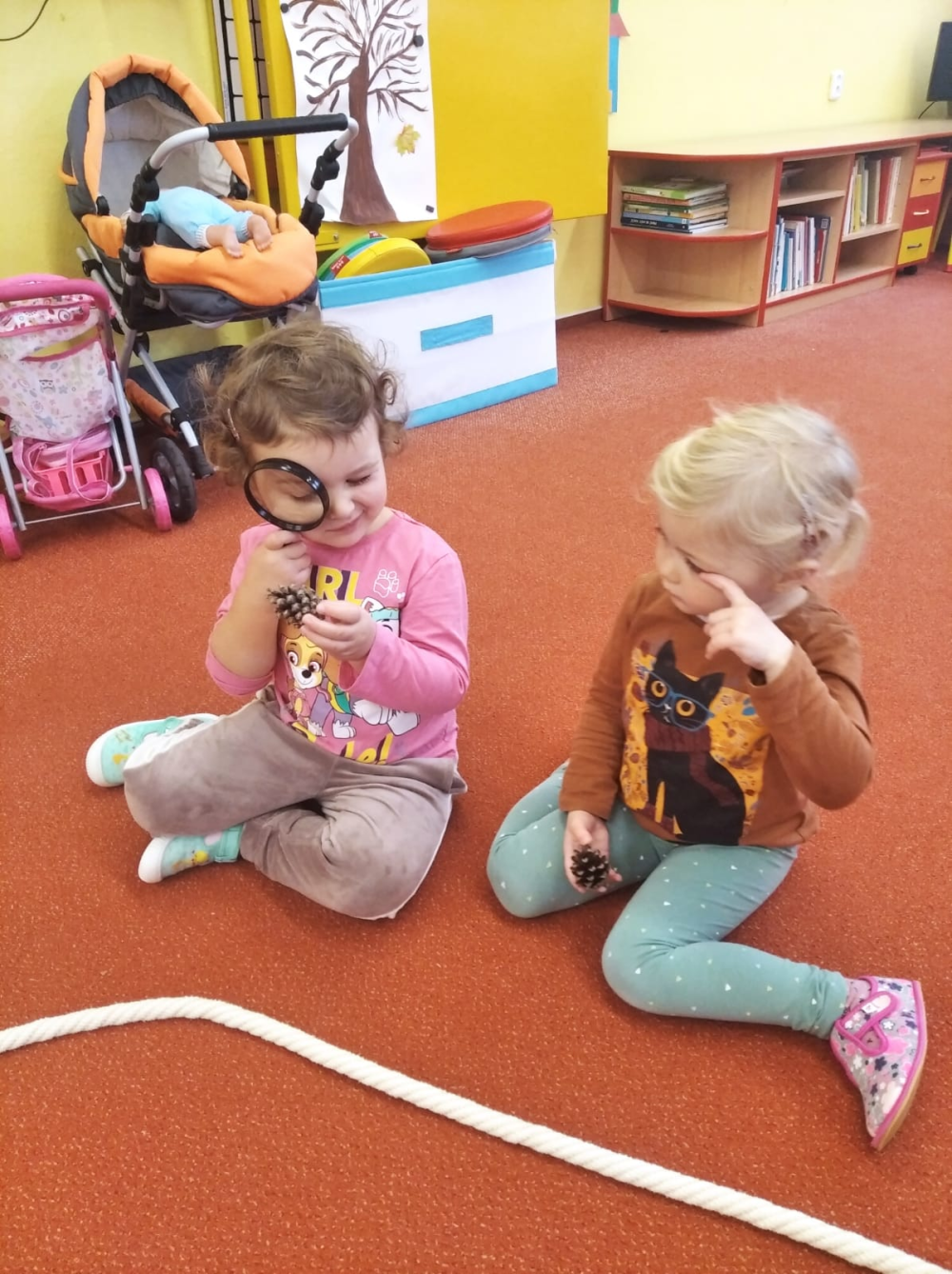 motylci-a-podzimni-aktivity